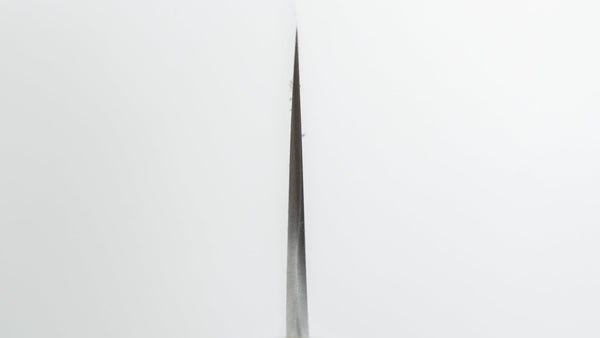 Hitohira Ashi Swedish Stainless Sujihiki 270mm Ebony Handle - Tetogi