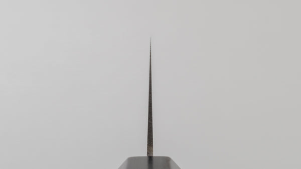 Hitohira Hiragana WS Gyuto 210mm Pakka Handle