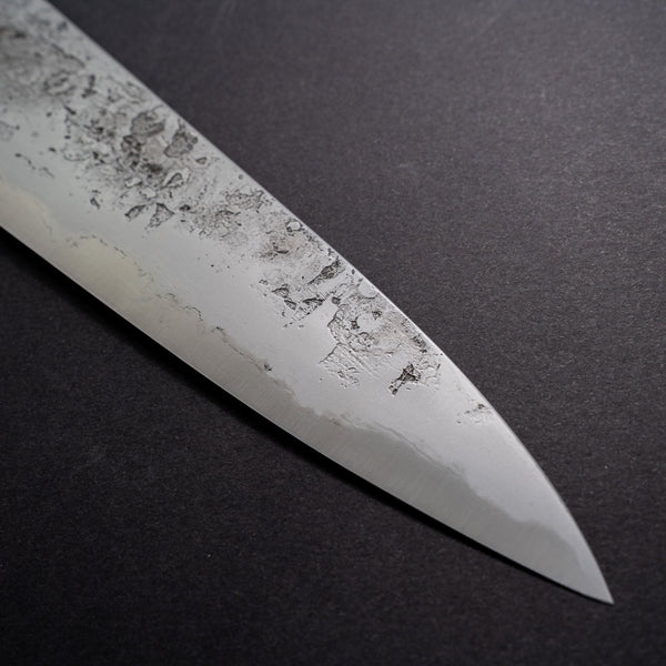 Cygnus Coryphus 26c3 250mm Gyuto Riisgaard Elm Burl Handle - Tetogi