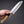 Hitohira Kikuchiyo Ren Blue 2 Santoku 180mm Ho Wood Handle (Discounted) - Tetogi