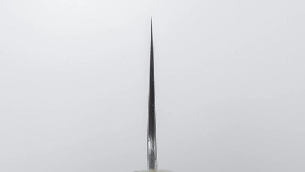 Hitohira Nakagawa Izo SG STRIX Gyuto 240mm Ebony Handle - Tetogi