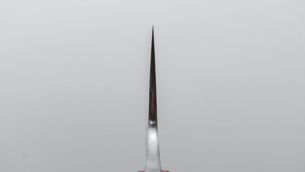 Jiro Tsuchime Yo Gyuto 240mm Tagayasan Handle (Discount/ 671) - Tetogi