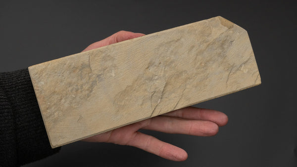 Hitohira Picked Ohira Natural Stone (No.0031) - Tetogi