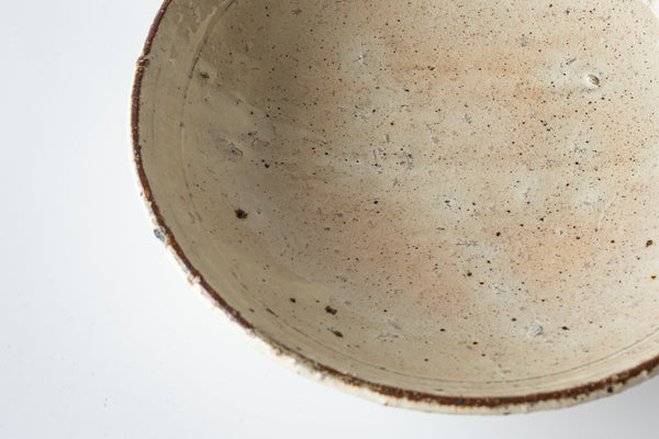 Shinichi Kotsuji Plate Large Haiyugesho (ash glaze) - Tetogi