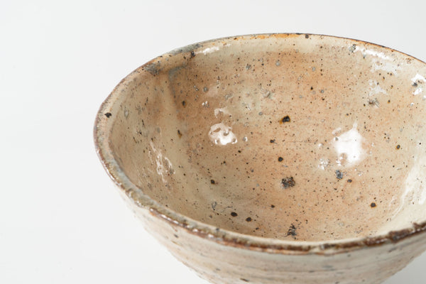 Shinichi Kotsuji - Rice Bowl Large Haiyugesho (ash glaze) - Tetogi