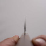 Load image into Gallery viewer, Tetsujin Blue #2 Kasumi Gyuto 210mm Ziricote Handle
