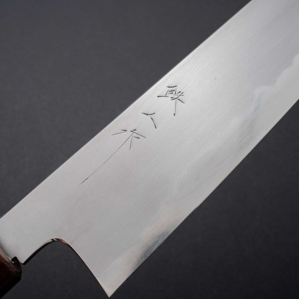 Tetsujin Blue #2 Kasumi Kiritsuke Gyuto 210mm Riisgaard Handle - Tetogi